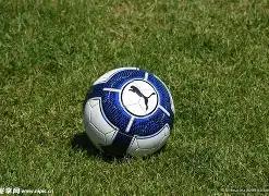 莫兰德神速,断球,反击高空爆,龙8国际会员登录入口,H5龙8国际官网,龙8国际